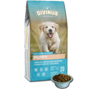 4e9c4dbc2c62866c19aa2235d12a9eee