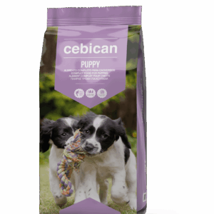 176dc1a2391d2cbfb0cc8c1bac305a33