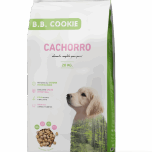 a579088d60a17e822e47c95dd6307d92