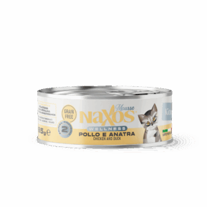 4bcd31675eb45620fae4238710257ab2