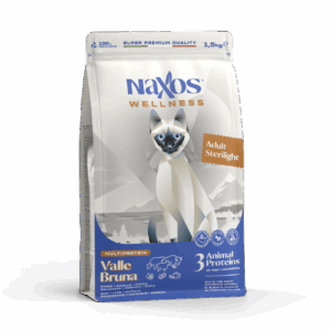 98228ed9da081f90310ef2ab7298a6b8