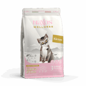 9738f744d0dc7433dbec656a62fefdaf