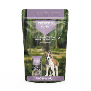 1f8c7ec12702c6a8093bc223728e1d55