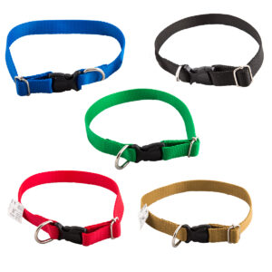 3a7adfc60170cacca8960c519cfe907e