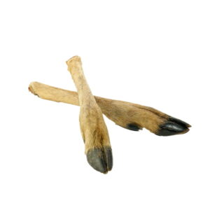 e0fec7cf4ae21c8431d406021f59a23b